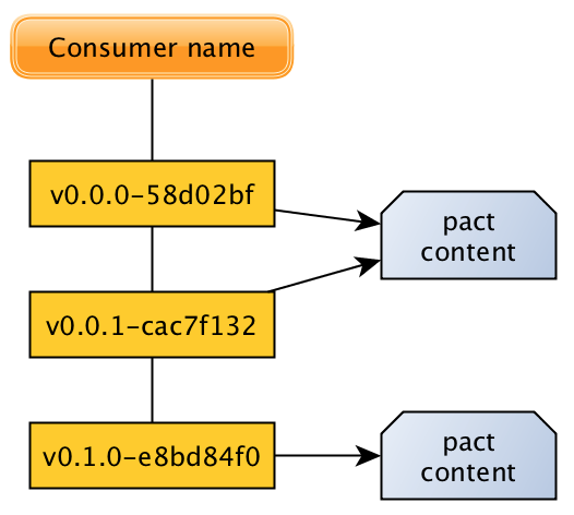 Consumer versions